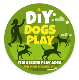 Looking for DIY Dogs Play?
